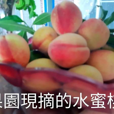 Taitung Linyuan B&B Donghe Extérieur photo