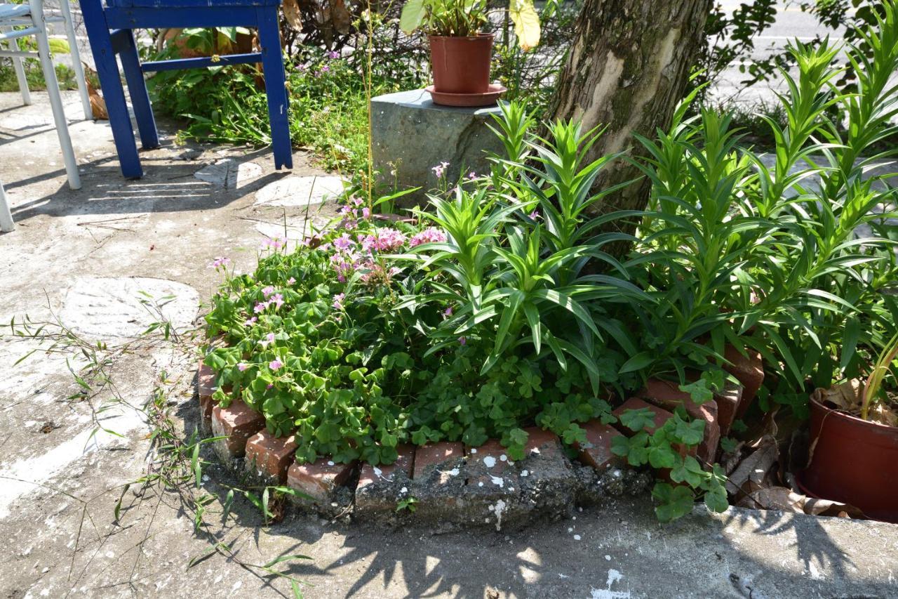 Taitung Linyuan B&B Donghe Extérieur photo